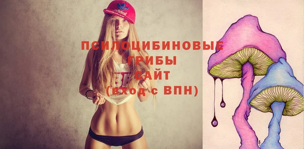 тгк Абаза