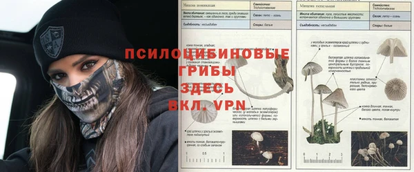 кокаин Алексеевка