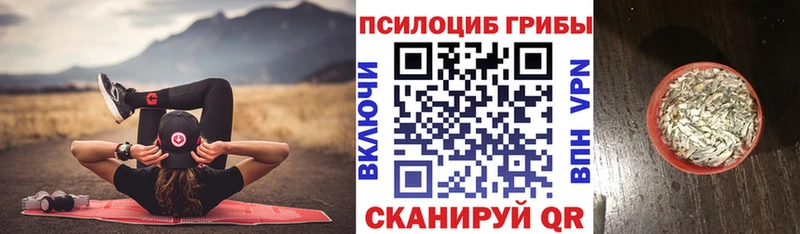 Галлюциногенные грибы мицелий  Чайковский 