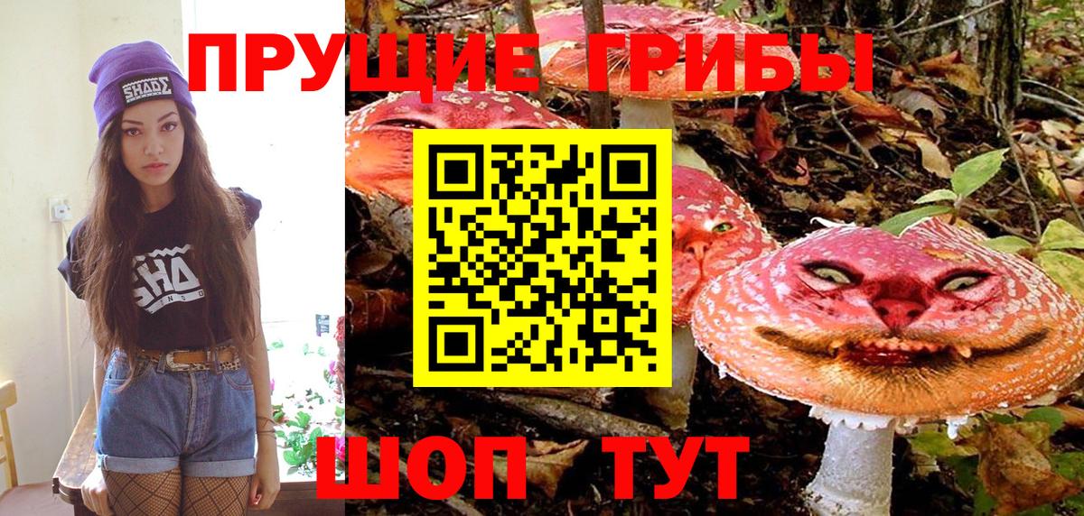 Галлюциногенные грибы Psilocybine cubensis Чайковский